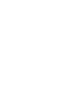 Santoro